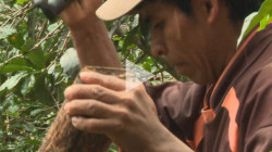 leña